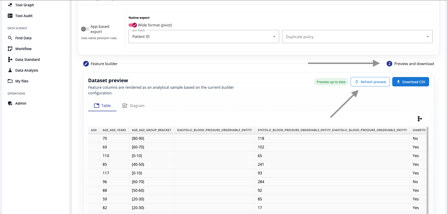 Dataset preview